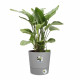 ELHO - Pot de fleurs -  Greensense Aqua Care Rond 43 - Ciment Clair - Intérieur/extérieur - Ø 43 x H 42.5 cm