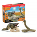 SCHLEICH - Duel Aligator/Anaconda - 42625 - Gamme Wild Life