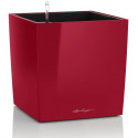 Pot de fleur LECHUZA Cube Premium 50 - kit complet, rouge scarlet brillant