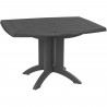 GROSFILLEX Table Vega 118x77 - Anthracite