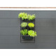 Jardiniere murale - Kit support mural + 3 pots (0,9L) + 2 pots (2,5L) + 1 jardiniere (5,4L) - Noir - H84 x L48cm - NATURE