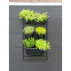 Jardiniere murale - Kit support mural + 3 pots (0,9L) + 2 pots (2,5L) + 1 jardiniere (5,4L) - Noir - H84 x L48cm - NATURE