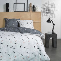 Parure de lit - TODAY - Crazy - 122029 - 2 personnes - 220x240 cm - Imprimée 4.5