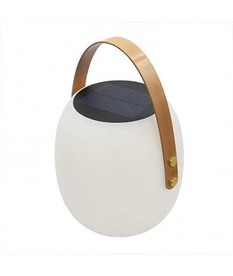 Baladeuse solaire - LUMISKY - JIMMY - LED blanc - H34 cm - Port de charge USB