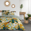 Parure de lit - TODAY - Sunshine - 115519 - 2 personnes - 260x240cm - Coton - Imprimé 8.54