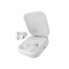 Ecouteurs sans fil Bluetooth - FAIRPHONE - Fairbuds True Wireless Earbuds - Son Premium - Conçu pour durer - Blanc