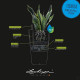 Pot de fleur LECHUZA Cubico Premium 50 - kit complet, noir brillant