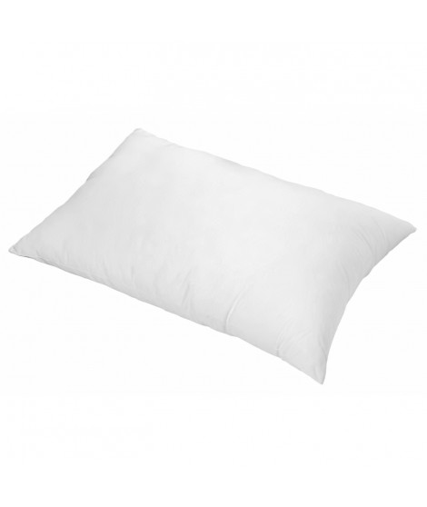 TOISON D'OR - Oreiller - Pollux - Confort ferme - 50x70cm - Blanc