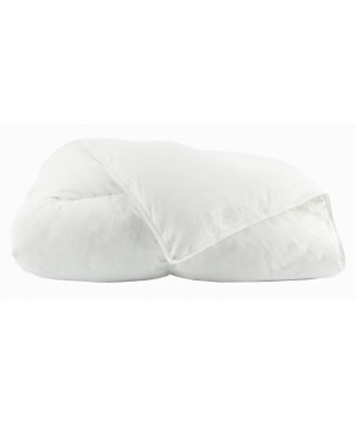 TOISON D'OR - Couette Daisy chaude (300g/m²) - 220x240cm - Plumette et duvet - 2 personnes - Blanc