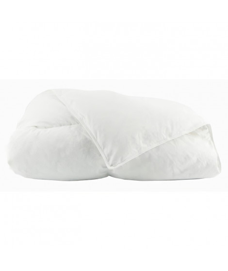 TOISON D'OR - Couette Daisy chaude (300g/m²) - 220x240cm - Plumette et duvet - 2 personnes - Blanc