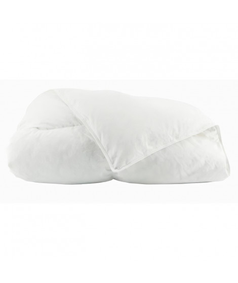 TOISON D'OR - Couette Daisy chaude (300g/m²)- 240x260cm - Plumette et duvet - 2 personnes - Blanc