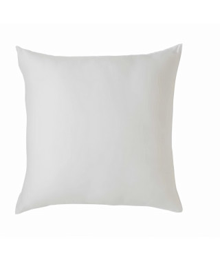TOISON D'OR - Oreiller - Eole - Confort souple - 60x60cm - Blanc