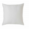 TOISON D'OR - Oreiller - Eole - Confort souple - 60x60cm - Blanc