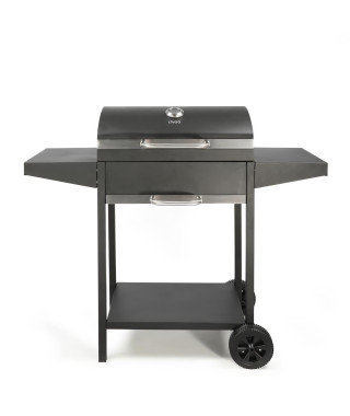Barbecue a charbon avec desserte - LIVOO - DOC250 - Thermometre intégré - 119 x 50 x 101 cm - Structure en acier peint - Noir