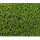 Gazon synthétique - EXELGREEN - 123103 - Park 40 mm - 1 x 5m