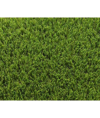 Gazon synthétique - EXELGREEN - 123103 - Park 40 mm - 1 x 5m