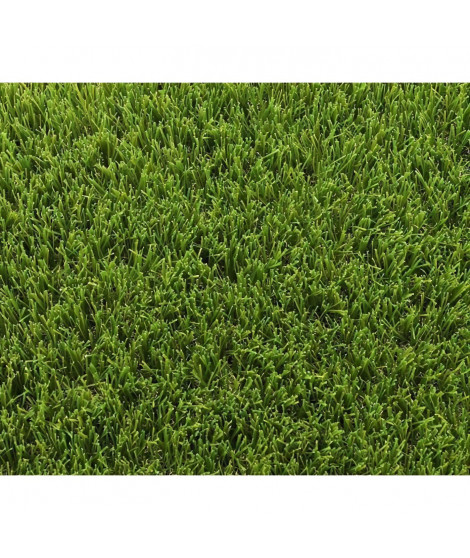 Gazon synthétique - EXELGREEN - 123103 - Park 40 mm - 1 x 5m