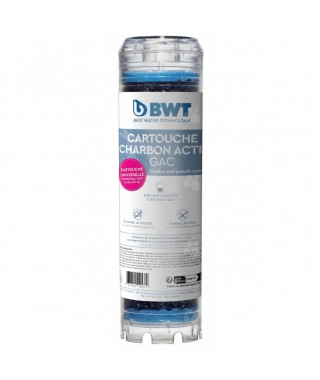 Cartouche - BWT - charbon actif granulé - Capacité de traitement d'environ 6 mois