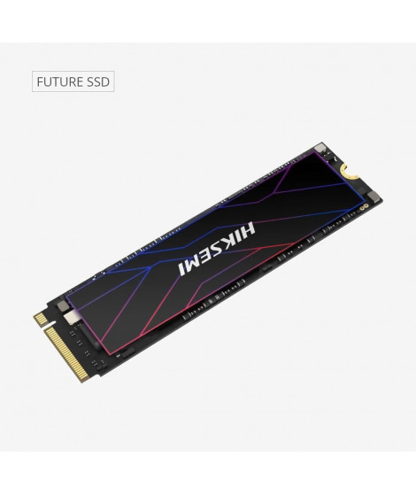 HIKSEMI - SSD Interne - 1024Go - M.2 - Future PCIe Gen 4x4, NVMe 7450MB/s 6600MB/s (HS-SSD-FUTURE(STD)/1024G/PCIE4)