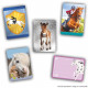 Boîte stickers - PANINI - Collection de cartes pour les fans de chevaux - Contient 24 pochettes de 8 cartes