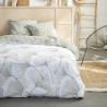 Parure de lit 2 personnes - TODAY - Sunshine 16.15 - 240 x 260 cm - 100% Coton imprimé