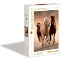Clementoni - 1000 pieces - Running horses