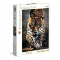 Clementoni - 1000 pieces - Walk of the Jaguar