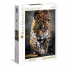 Clementoni - 1000 pieces - Walk of the Jaguar