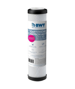 Cartouche - BWT - CARBOFILTER 93/4-10µm - Supprime particules fines de l'eau