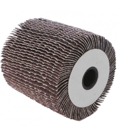 FARTOOLS Brosse a lamelles pour rénovateur- Ø 120 mm - Alésage 20 mm
