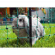 RabbitNet - KERBL - 25 m - 65 cm - Double pointe - Vert