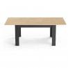 Table extensible - CRAFT - Rectangulaire - Décor mélamine chene hamilton et noir mat - 6 places - 160 / 200 x 90 cm - DEMEYERE