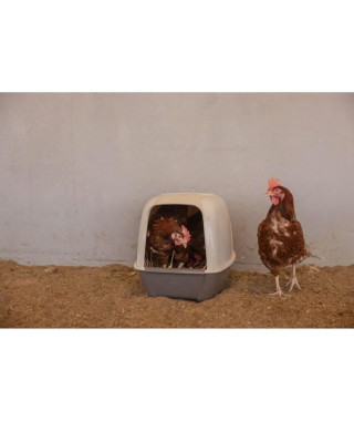 Pondoir pour poules - KERBL - 52 x 39 x 39 cm