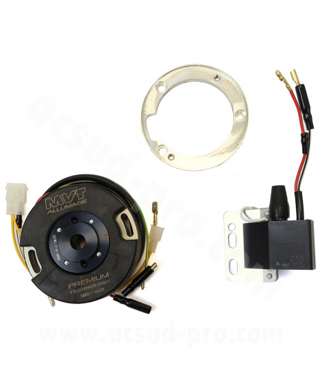 ALLUMAGE MVT  ROTOR INTERNE ANALOGIQUE VARIABLE AVEC LUMIERE  DERBI SENDA E4/5 AVEC BALANCIER (PREM29)