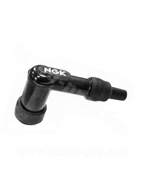 ANTIPARASITE NGK LB05E BLISTER ( 6721 )