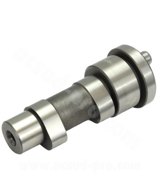 ARBRE A CAME MAXISCOOTER COMPLET ADAPT. PIAGGIO LEADER 4T 125-150cc / VESPA ET4 / LX / LXV / S (OEM : 8459325 - 8459305)