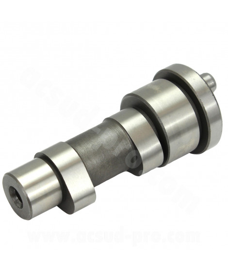 ARBRE A CAME MAXISCOOTER COMPLET ADAPT. PIAGGIO LEADER 4T 125-150cc / VESPA ET4 / LX / LXV / S (OEM : 8459325 - 8459305)