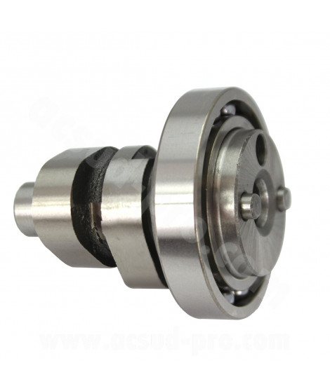 ARBRE A CAME MAXISCOOTER COMPLET ADAPT. YAMAHA XMAX / YZF-R 125cc (ROULEMENT NTN) (OEM : 1B9-WE211-0100)