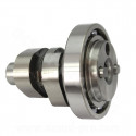 ARBRE A CAME MAXISCOOTER COMPLET ADAPT. YAMAHA XMAX / YZF-R 125cc (ROULEMENT NTN) (OEM : 1B9-WE211-0100)