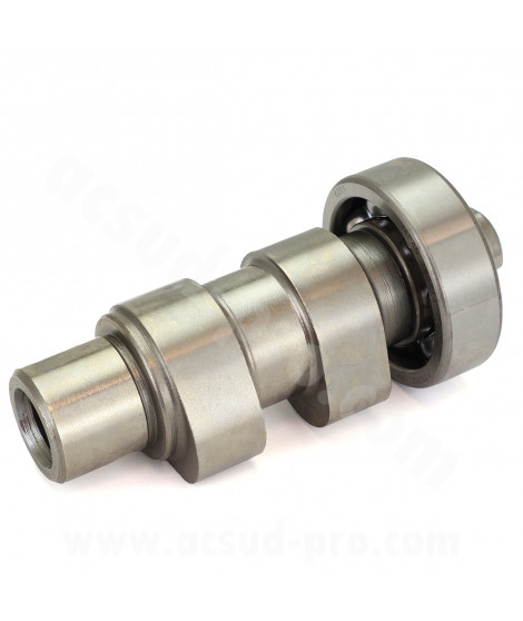 ARBRE A CAME SCOOTER COMPLET ADAPT. PIAGGIO 50 FLY 4T. ZIP 4T. VESPA LX 4T. LIBERTY 4T. PRIMAVERA 4T 2013  (OEM : 9692476)
