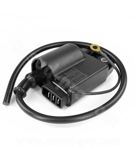 BOBINE HAUTE TENSION/CDI/ECU SCOOTER ADAPT. PIAGGIO ZIP RST / TYPHOON / VESPA ET2 / GILERA STALKER / RUNNER 50CC (OEM : 638678)