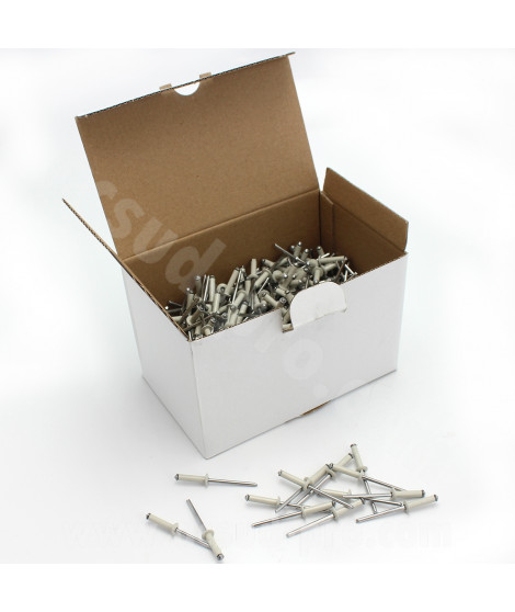 BOITE 500 RIVETS POUR PLAQUE IMMATRICULATION 4X16 BLANC