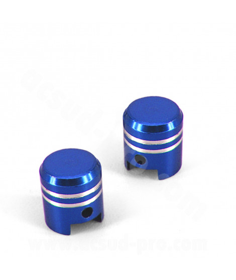 BOUCHON VALVE PISTON BLEU (LA PAIRE)
