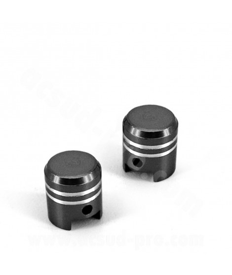 BOUCHON VALVE PISTON NOIR (LA PAIRE)