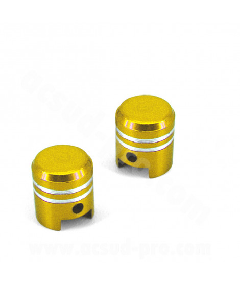 BOUCHON VALVE PISTON OR (LA PAIRE)