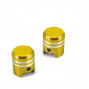 BOUCHON VALVE PISTON OR (LA PAIRE)