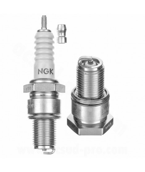 BOUGIE NGK B10ES ( 7928 )