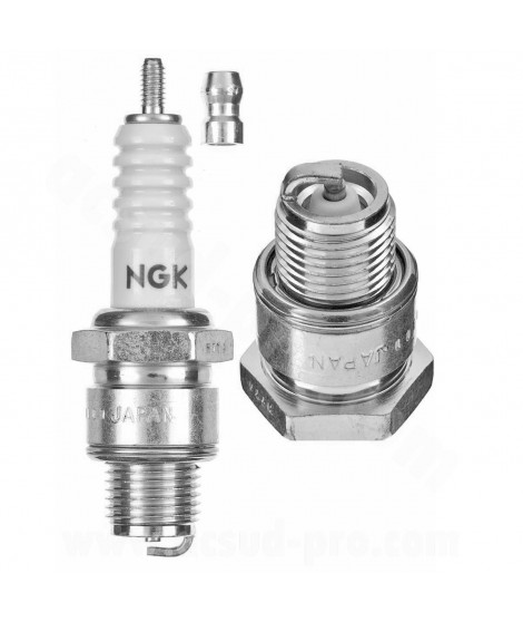 BOUGIE NGK B10HS ( 2399 )