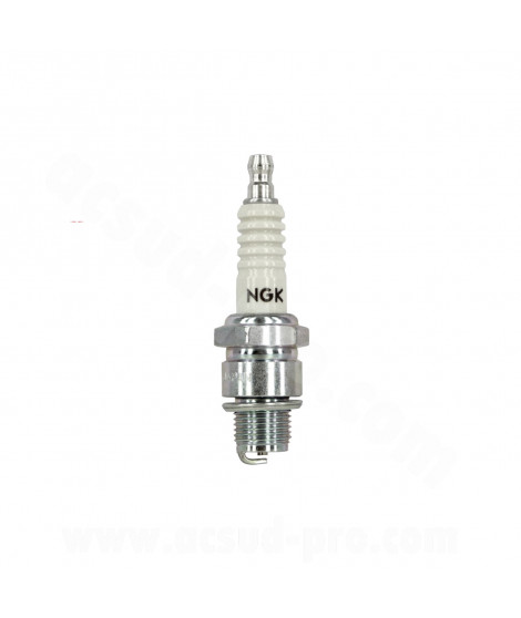 BOUGIE NGK B8ES ( 2411 )