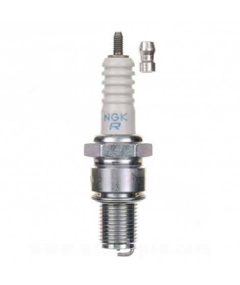 BOUGIE NGK BR8EG ( 3130 )